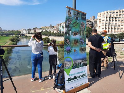 La Paeria commemora el Dia Mundial dels Ocells 