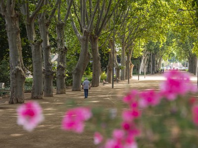 La Paeria, compromesa en la lluita contra el canvi climàtic 