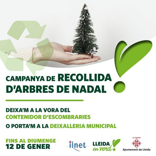 Imatge de la notícia La Paeria de Lleida inicia el servei de recollida dels arbres de Nadal