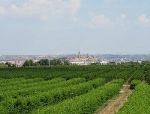 Imatge de la notícia La Paeria demana la col·laboració dels veïns i veïnes de l’Horta de Lleida en el manteniment i neteja de les finques