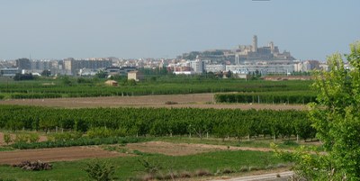 La Paeria denuncia abocaments il·legals en l’Horta de Lleida 