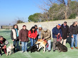 La Paeria destaca el bon funcionament de la Canera i el rigor de l’atenció que els seus professionals dediquen als animals 