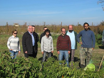 La Paeria endega un projecte pioner per a la introducció de les hortalisses de l'Horta a les escoles