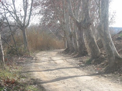 La Paeria fa el manteniment anual dels camins de l'Horta