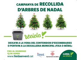Imatge de la notícia La Paeria fomenta el reciclatge amb la recollida d’arbres de Nadal