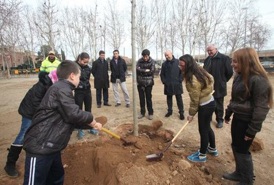 La Paeria inicia la campanya de plantació d'arbrat