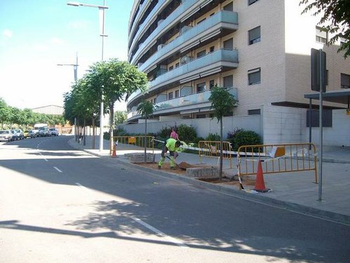 Imatge de la notícia La Paeria inicia la plantació de 700 nous arbres a la ciutat