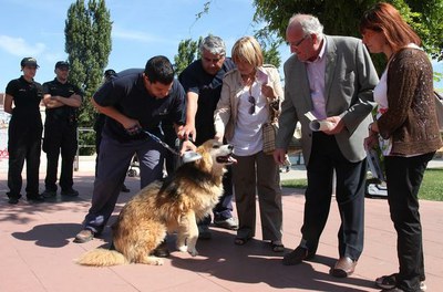 La Paeria inicia una campanya d'identificació dels animals a la via pública 