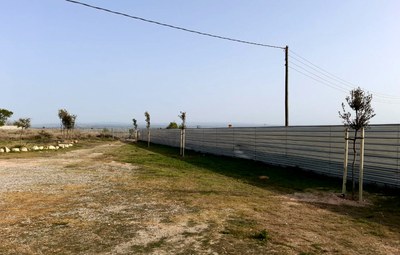 La Paeria millora el Refugi dels Peluts amb nou arbrat i àrees de lleure per al confort dels animals 