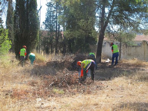 Imatge de la notícia La Paeria neteja i millora dels boscos del Turó de Gardeny