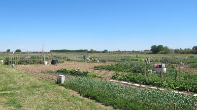 La Paeria obre el termini per sol·licitar un hort municipal a la Partida de Rufea i a Pardinyes