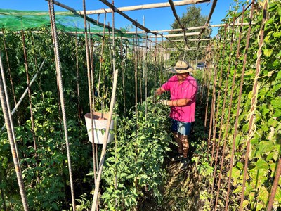 La Paeria obre un nou període de sol·licituds per obtenir un hort familiar a la partida de Rufea