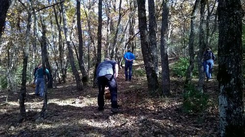 Imatge de la notícia La Paeria organitza un curs per identificar bolets