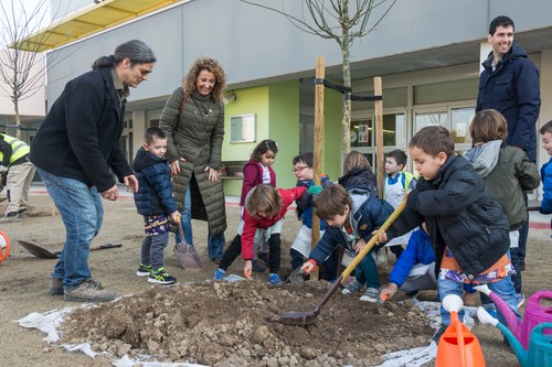 Imatge de la notícia La Paeria planta 862 arbres i 1.203 plantes arbustives malgrat l’aturada pel Covid-19 