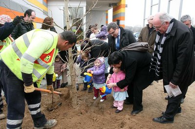 La Paeria planta durant el 2010 més d'un miler d'arbres