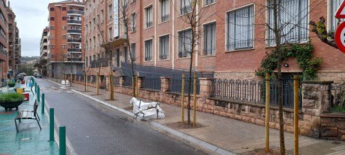 Imatge de la notícia La Paeria plantarà enguany 567 arbres als carrers de la ciutat