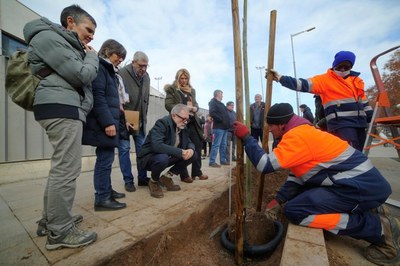 La Paeria plantarà més de 600 arbres aquest hivern