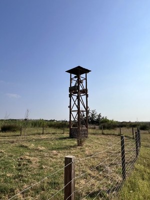 La Paeria projecta renaturalitzar tres basses ubicades en parcs urbans i quatre noves torres de biodiversitat