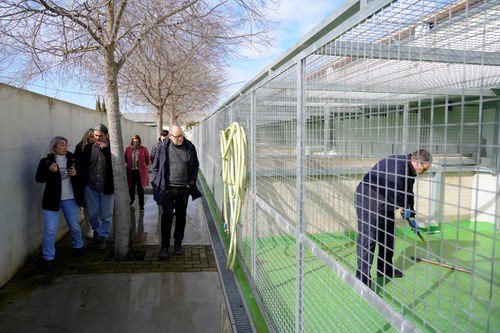 Imatge de la notícia La Paeria promou l’adopció d’animals de companyia del Refugi dels Peluts per disminuir la pressió de les instal·lacions