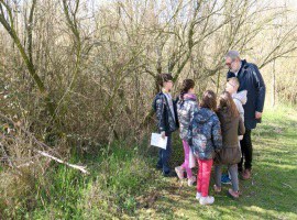 Imatge de la notícia La Paeria promou l’educació mediambiental entre els infants amb activitats a la Mitjana