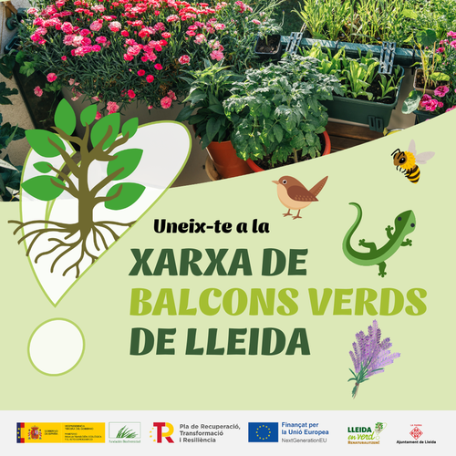 Imatge de la notícia La Paeria promourà que els balcons de la ciutat llueixin plantes i flors