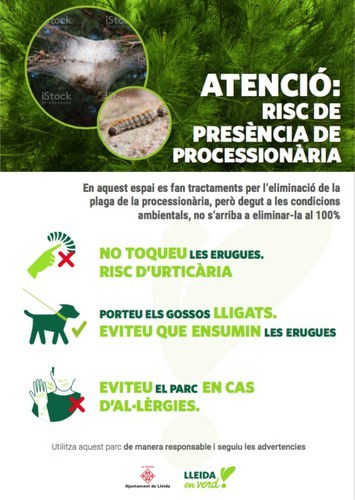 Imatge de la notícia La Paeria realitza el tractament periòdic de la plaga de la processionària 