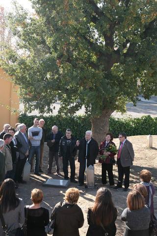 Imatge de la notícia La Paeria recupera un roure centenari