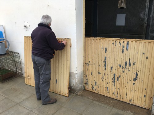 Imatge de la notícia La Paeria renova l’àrea de quarantena del Refugi dels Peluts i amplia la zona calefactada per protegir els animals més vulnerables 