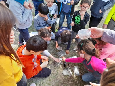 La Paeria reprèn els tallers per a petits naturalistes al Parc de La Mitjana 