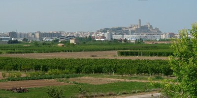La Paeria treballa per minimitzar els abocament il·legals de residus a l’Horta 