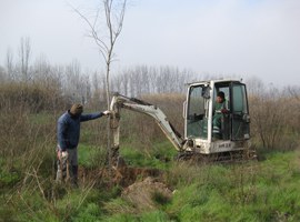 Imatge de la notícia La Paeria ultima la millora ambiental dels Aiguamolls de Rufea amb la plantació de més de 900 arbres i arbustos 