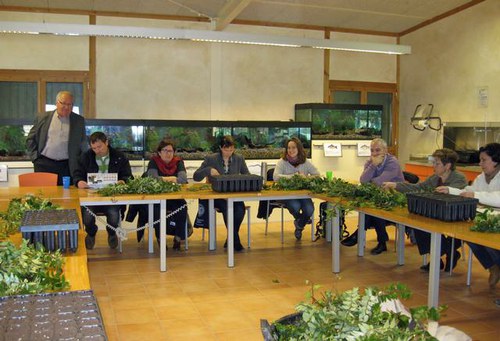 Imatge de la notícia La Regidoria de Medi Ambient organitza un taller de tècniques per reproduir plantes