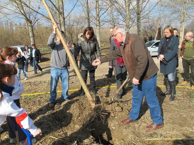 La tradicional plantada d'arbres al Xoperal del Tòfol arriba enguany a la 19ª edició