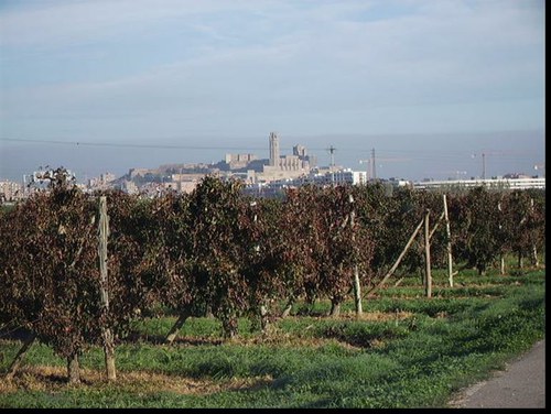 Imatge de la notícia La Paeria inicia un programa de foment de l'agricultura ecològica