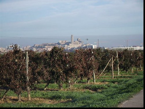 Imatge de la notícia La Paeria inicia un programa de foment de l'agricultura ecològica