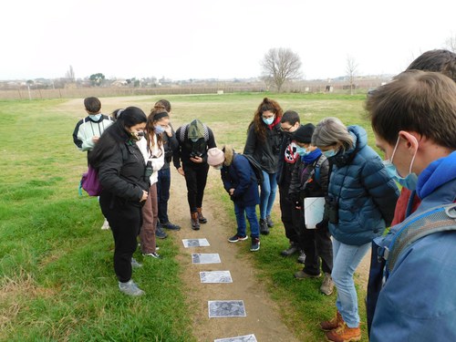 Imatge de la notícia Les activitats d'educació ambiental de Lleida en Viu es reprenen amb el bon temps