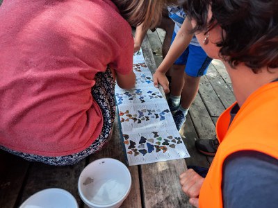 Les Ecoactivitats descobreixen els invertebrats i artròpodes que viuen a la ciutat de Lleida