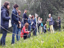 Imatge de la notícia Les Ecoactivitats estrenen un taller per identificar les plantes silvestres comestibles, collir-les i cuinar-les