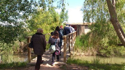 Les Ecoactivitats estrenen visita a l'Estany d'Ivars aquesta primavera
