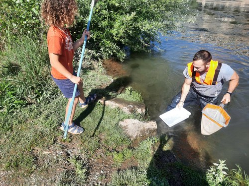 Imatge de la notícia Les Ecoactivitats mostren els insectes aquàtics que habiten el riu Segre