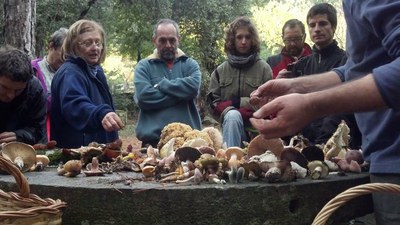 Les pluges del mes d'octubre omplen de bolets el Parc de la Mitjana