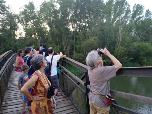 Imatge de la notícia Ecodescoberta per a mostrar la vida nocturna dels habitants del  Parc de la Mitjana