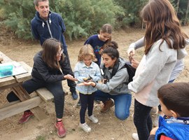 Imatge de la notícia Lleida celebra aquest cap de setmana el Dia Mundial dels Ocells amb diverses activitats ornitològiques 