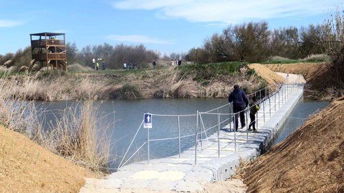 Imatge de la notícia Lleida celebra el Dia Mundial de l’Aigua als Aiguamolls de Rufea 