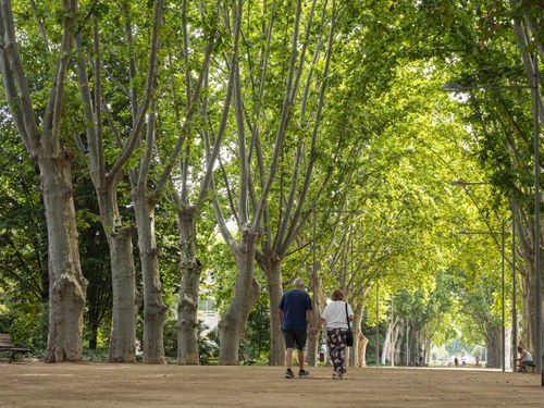 Imatge de la notícia Lleida, entre les ciutats europees amb menys mortalitat atribuïble a la manca d’espais verds 