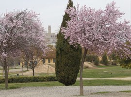 Imatge de la notícia Lleida es bolca amb el medi ambient, la natura i la biodiversitat 