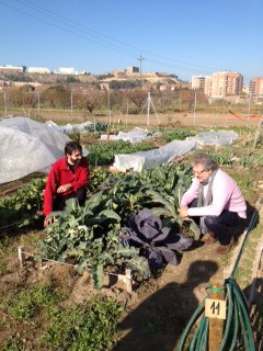 Imatge de la notícia Lleida Experience afegeix l'oci ecològic a la seva oferta turística 