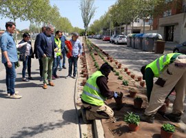 Imatge de la notícia Lleida potencia l'enjardinament dels espais urbans amb la plantació de flors i arbustos en mitjanes de carrers 