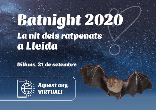 Imatge de la notícia Lleida se suma a la Nit dels Ratpenats que, enguany, serà virtual 