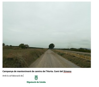 Manteniment dels Camins Municipals de l'Horta